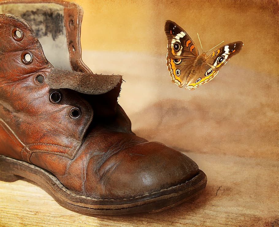 marrón, mariposa, bota de cuero, zapato, viejo, antiguo, cuero, zapato de cuero, pintura, pintura digital