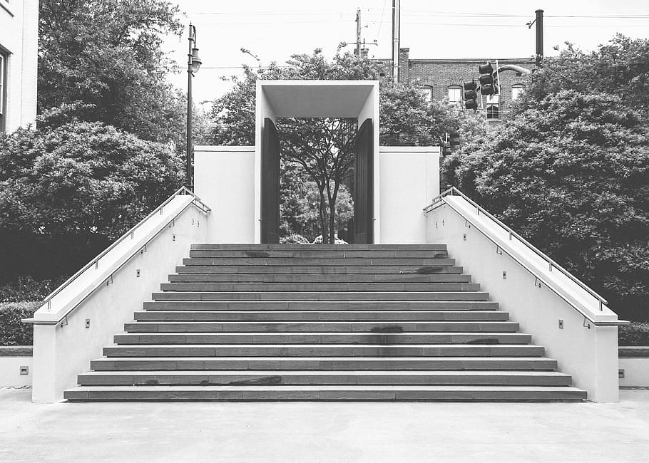 steps, railing, gate, entrance, city, trees, black and white, architecture, plant, tree