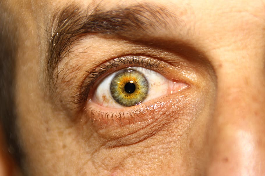 Iris, Look, Visual, View, Eye, œil, eyes, green eyes, color, human Eye