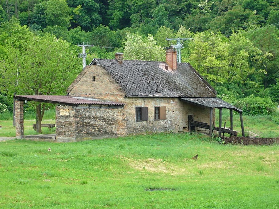 House, Building, Green, Village, house, building, green, village, distillery, abandoned, grass, green color