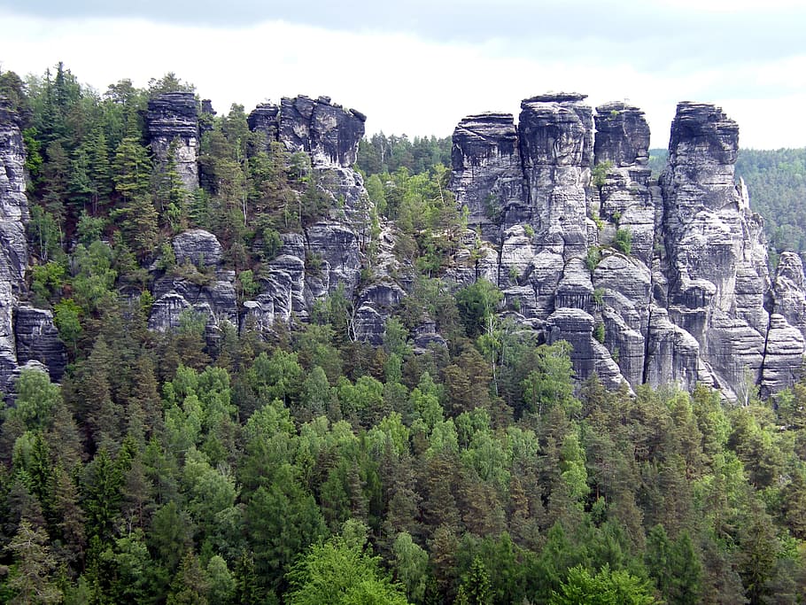 Эльбские песчаниковые горы