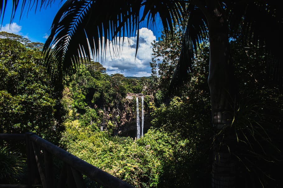 waterfall, mauritius, jungle, river, landscape, tropics, green, water, tropical, trees