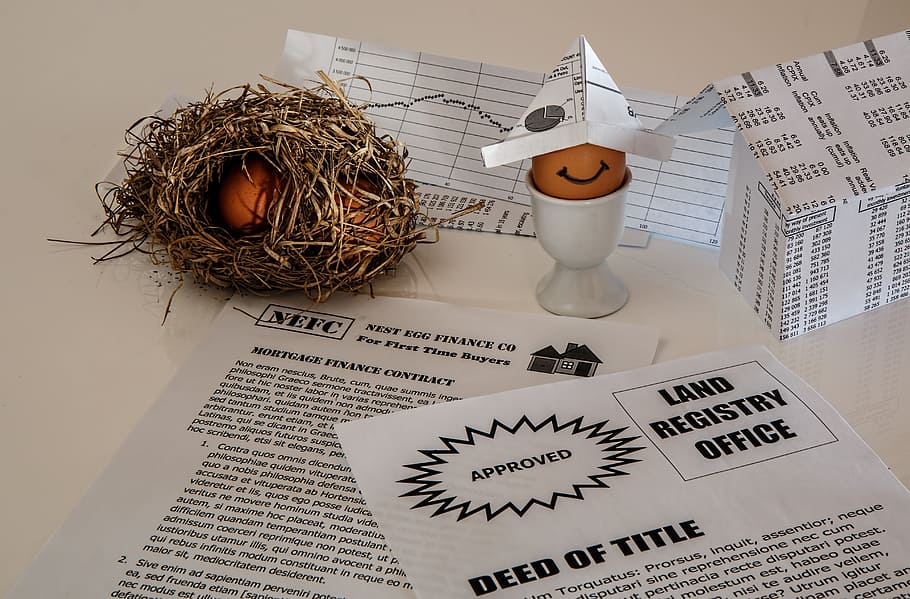 white, printed, paper, egg lamp decor, savings, real estate, mortgage bond, mortgage contract, finance documents, investment