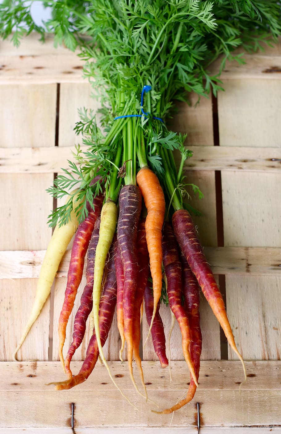 carrot lot, carrots, veg, vegetables, colour, summer, bright, green, orange, purple