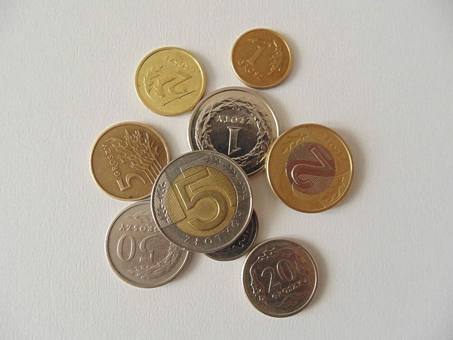 Koin, Polandia, Mata Uang, Uang, tepat di atas, tampilan sudut tinggi, tidak ada orang, latar belakang putih, variasi, lukisan alam benda