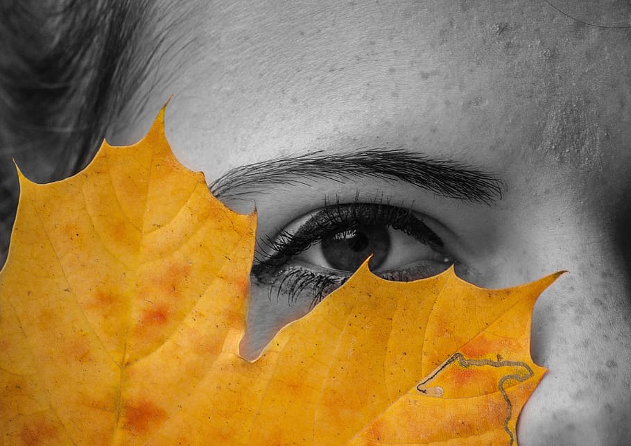 Eye, Sheet, Autumn, human Face, leaf, people, yellow, close-up, one Person, women