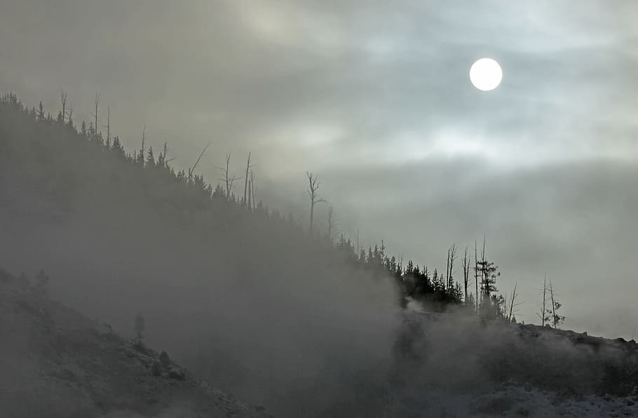 Nascer do sol, Nevoeiro, Paisagem, Cênico, Sol, nuvens, montanha que ruge, Parque Nacional de Yellowstone, Wyoming, EUA