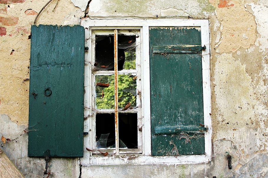green, wooden, window frame, window, leave, building, decay, run down, shutter, old