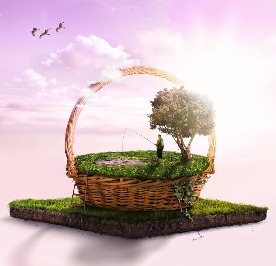 basket, fantasy, story, sky, fisherman, collage, container, plant, nature, beauty in nature