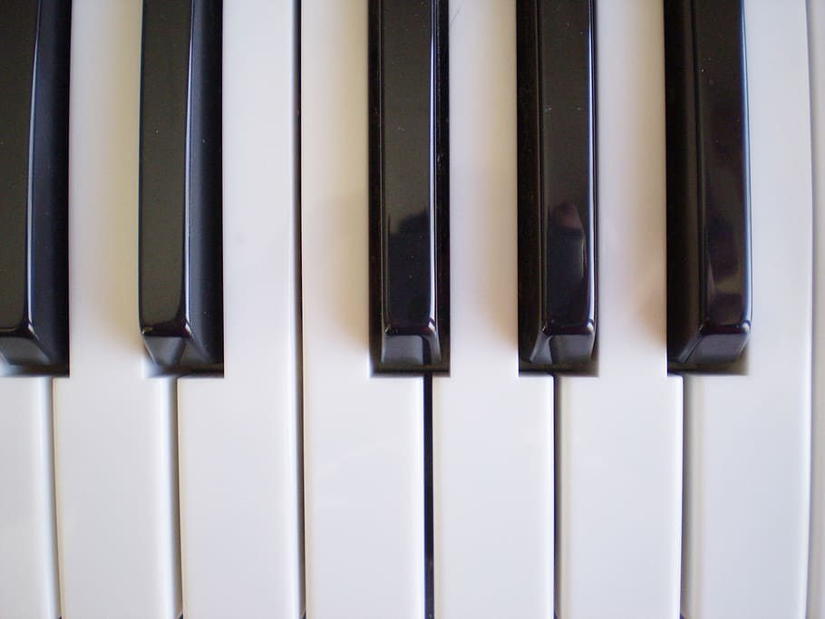 foto close-up, piano, musik, keyboard, instrumen, konser, melodi, kunci, nada, lagu