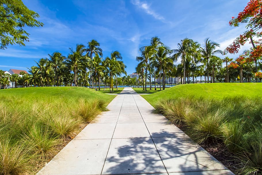 gray, concrete, road, surrounded, green, grass, miami, summer, beach, vacation
