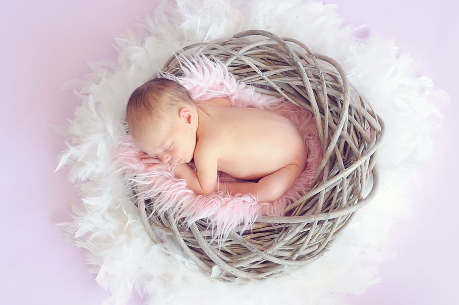 bebê, rosa, ninho, dormindo, bebê dormindo, menina, criança, recém-nascido, bonito, pequeno