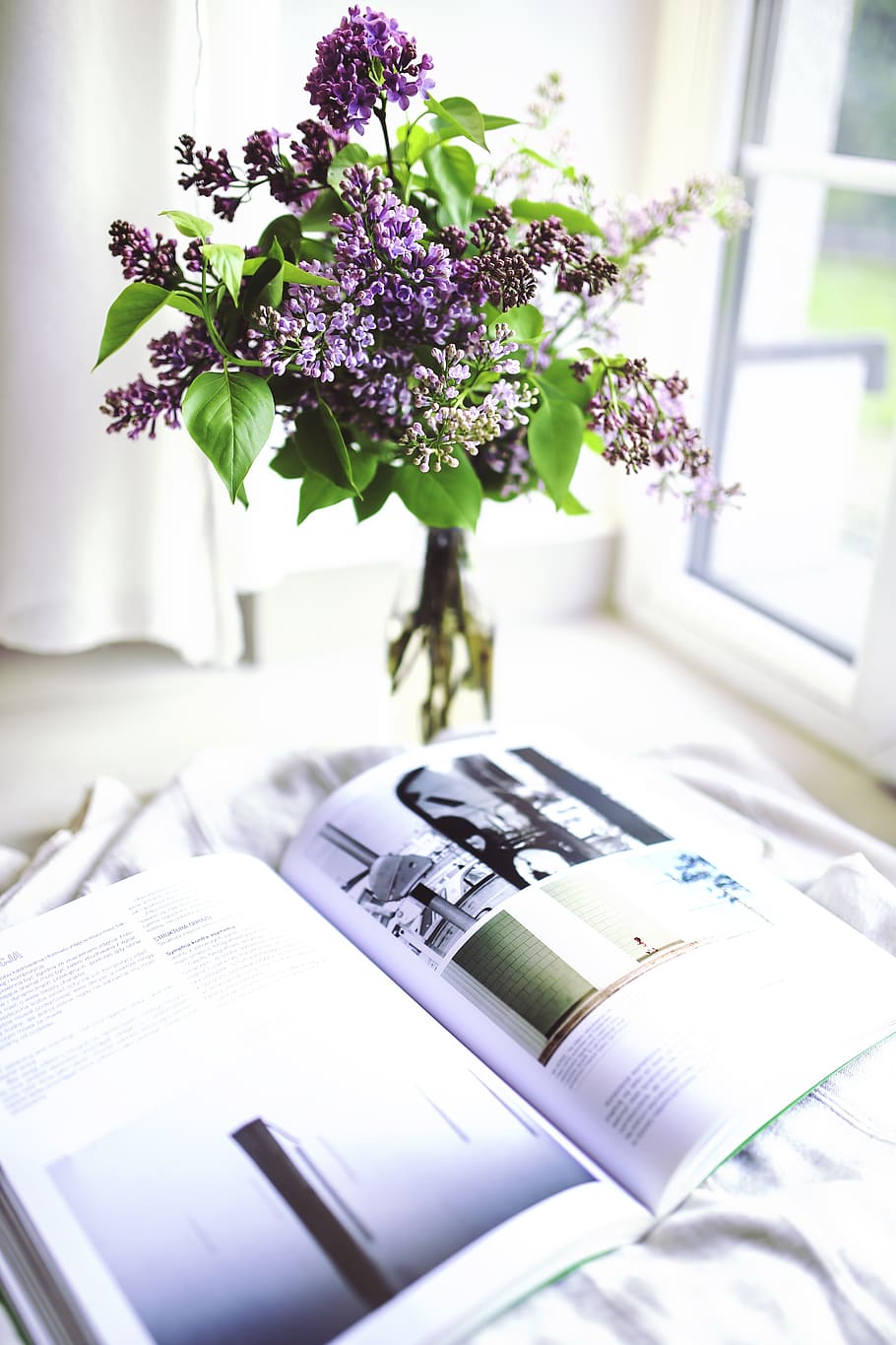 ungu, jelas, botol kaca, di samping, dibuka, buku, bunga, tanaman, sambucus, koran