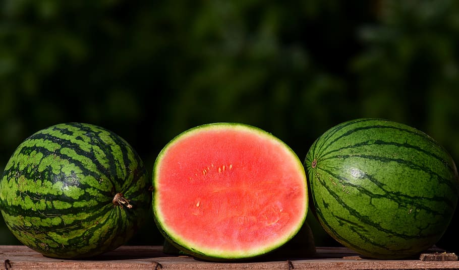 sliced melon, melon, ziermelone, watermelon, small, small melon, fruit, choose, beautiful, ornament