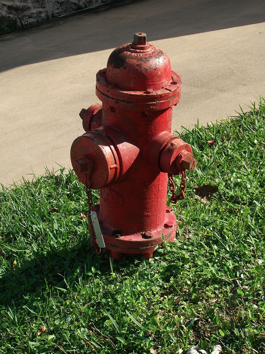 hidrante, fuego, suministro de agua, rojo, válvula, boca de incendios, hierba, seguridad, protección, planta