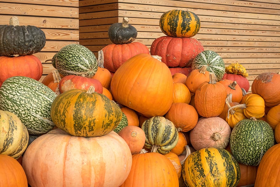 Calabazas, naranja, amarillo, calabaza, otoño, decoración, verduras, motivos de otoño, estructura, color