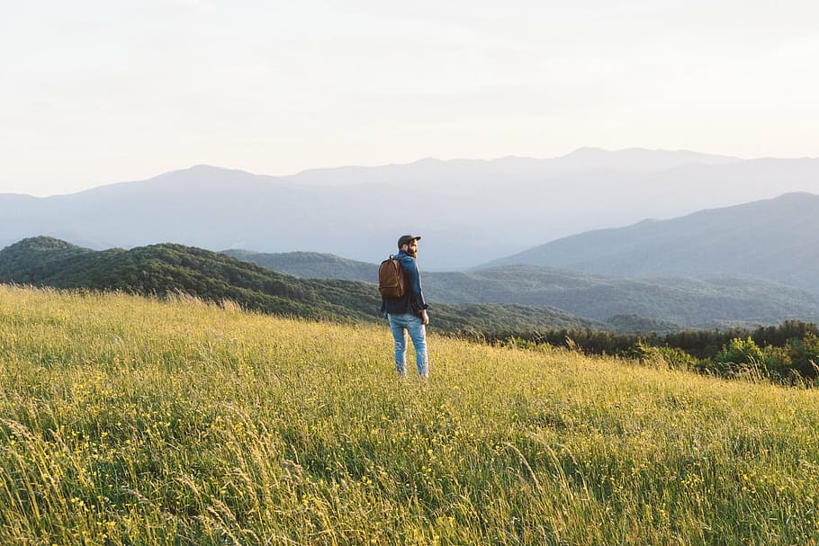 man, standing, green, field, jacket, jeans, carrying, backpack, mountain, guy