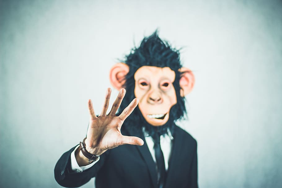 man, wearing, black, suit, monkey mask, monkey, application, training, business, portrait