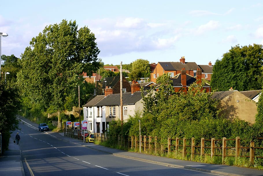 Street, Roadway, City, Buildings, little town, south elmsal, england, uk, tree, house