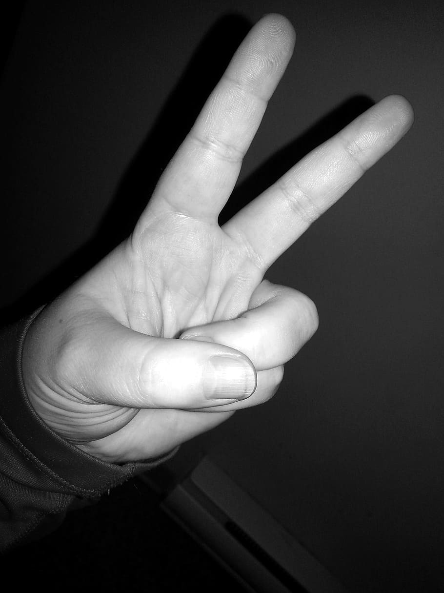 Paz, dedo, língua de sinais, sinal de dedo, dedos, mão humana, dedo humano, pessoas, preto e branco, polegar