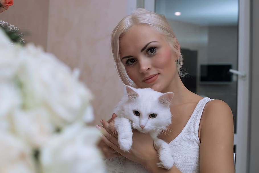 gato branco com loira, flores, menina bonita, gato, fofo, bonito, o gato nas mãos, retrato, olhos, animais