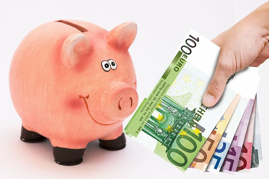 orang, memegang, kipas, uang kertas euro, bank koin babi, celengan, simpan, disimpan, injeksi uang tunai, uang