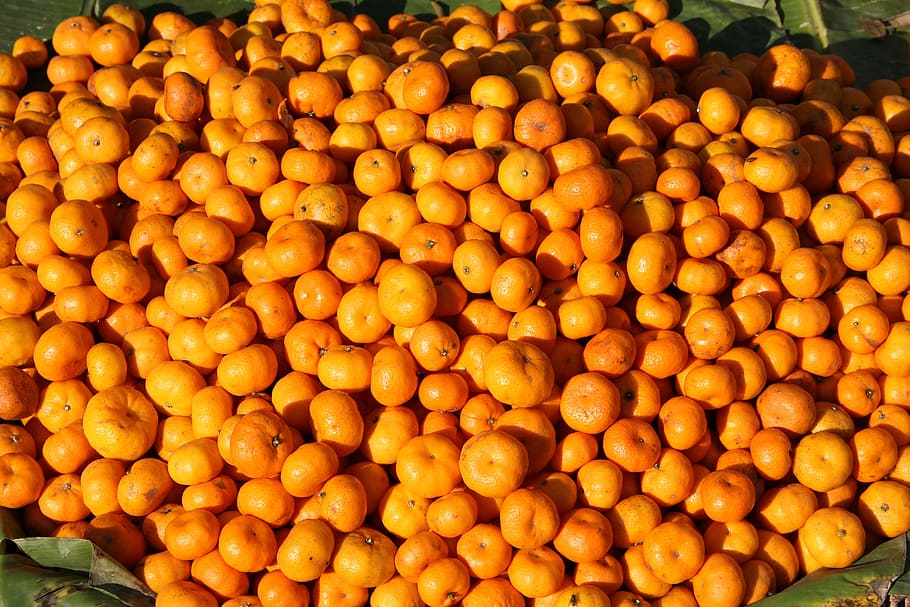 tangerines, orange, food, eat, fruit, healthy, vitamins, bio, yellow beet, fruit market