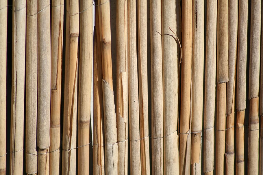 buluh, tikar, pagar, latar belakang, alam, kayu, tekstur, bahan kayu, bingkai penuh, pola