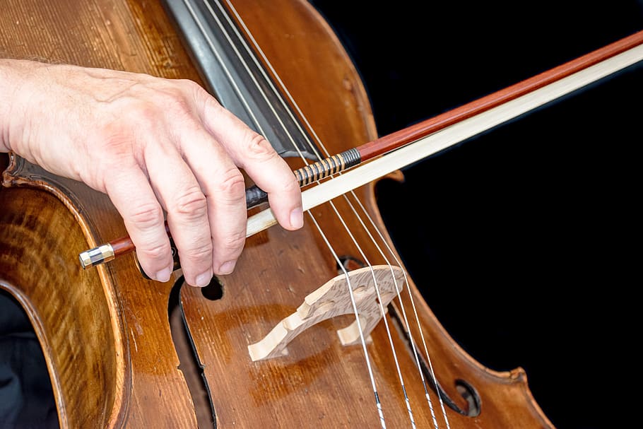 violoncelo, velho, instrumento, música, som, marrom, corda, clássico, músico, musical