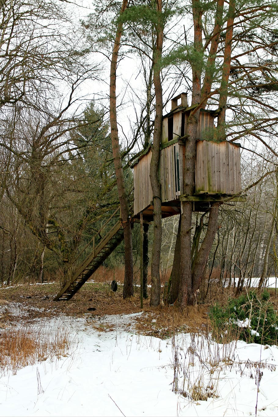 treehouse, tree, tree hut, woodhouse, retreat, play, nature, snow, winter, cold temperature