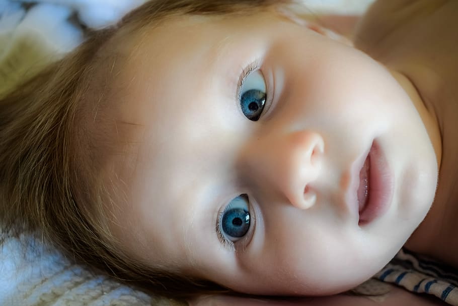 Bebê, Cara, Olhos, Criança, azul, infantil, fofa, pouco, menina, expressão