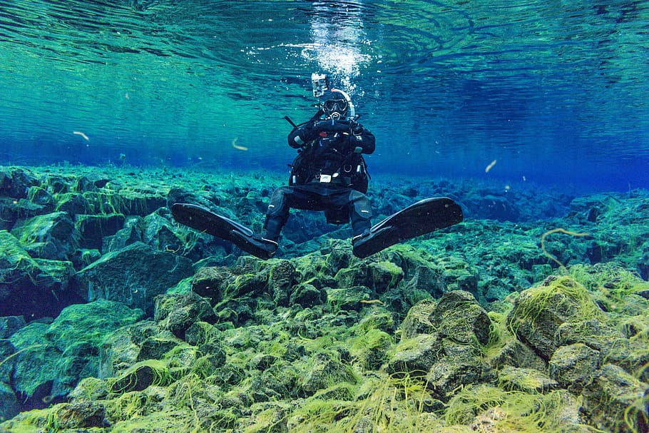bajo el agua, un viaje de descubrimiento, aguas, océano, pulmón de buzo, viaje, mar, buzos, aventura, buceo