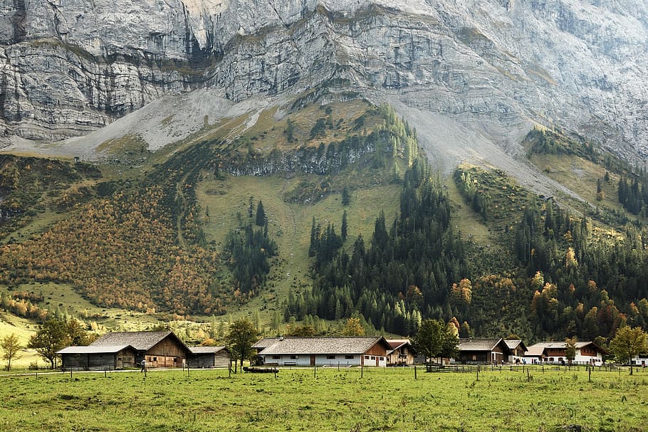 Austria, tyrol, pegunungan karwendel, alm, alpe, peternakan sapi perah alpine, batu, alam, pegunungan Alpen tyrolean, berbatu