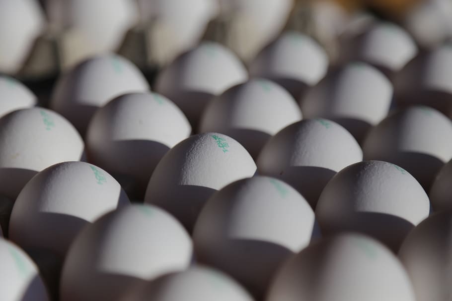 egg, hen's egg, food, agriculture, large group of objects, still life, close-up, selective focus, indoors, full frame