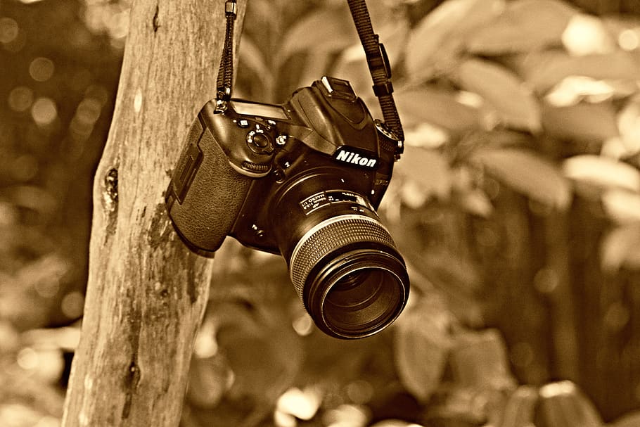 cámara digital, fotografía, tecnología, equipo, dslr, lente, cámara réflex digital de lente única, nikond750, nikon, d750