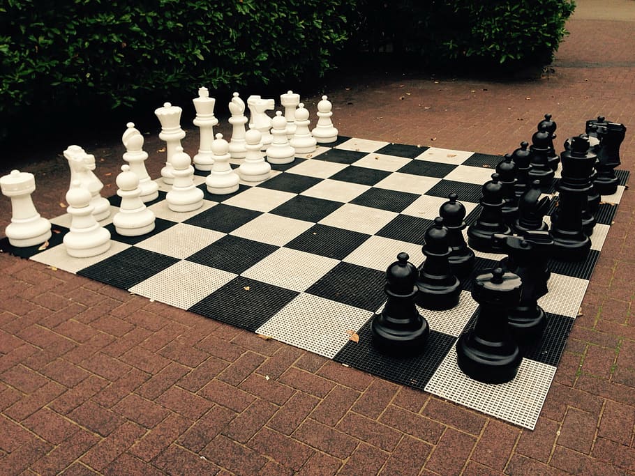 3d Renderização Preto e branco xadrez peças penhor torre cavaleiro