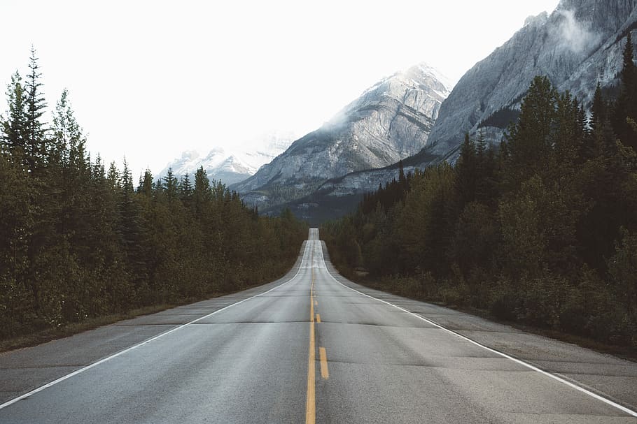 estrada rodovia, rodeado, pinheiros, montanhas nevadas, rodovia, estrada, marrom, cinza, montanhas, estradas