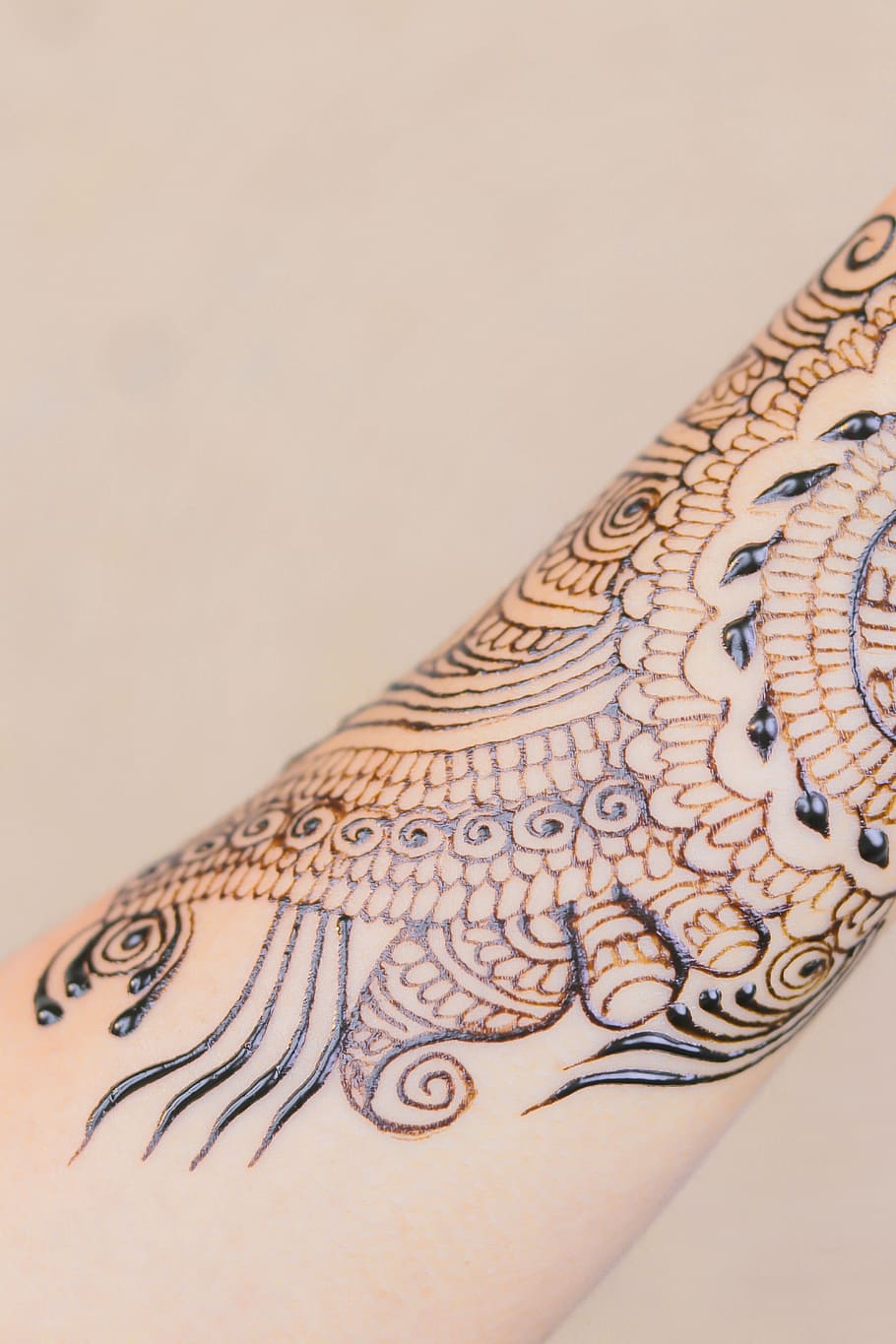 henna, novia, boda, cultura, moda, matrimonio, mujer, mehendi, tradicional, ritual