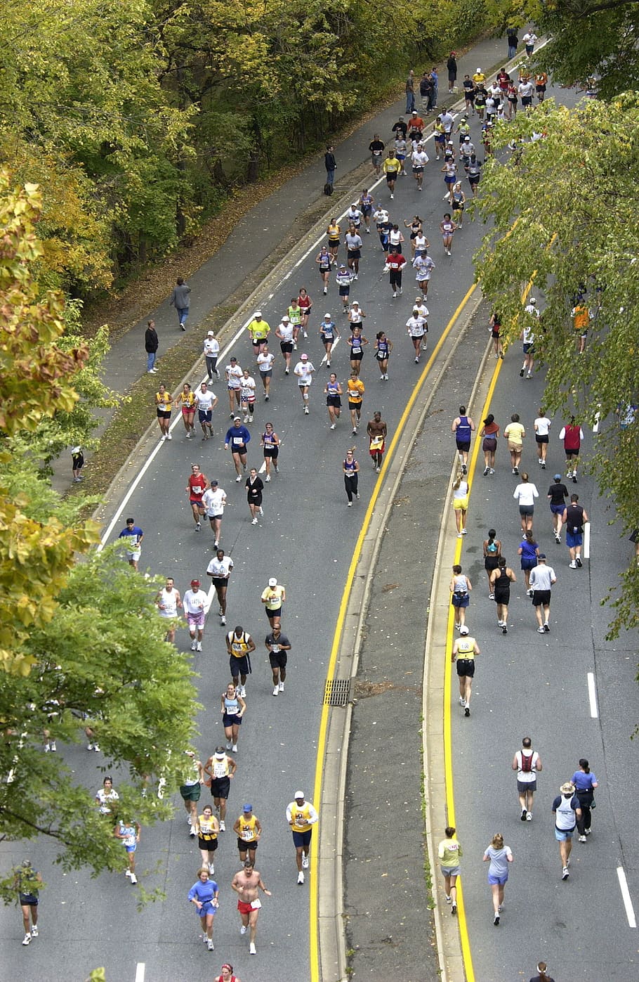 people, running, road, marathon, runners, long distance, washington dc, fall, autumn, men