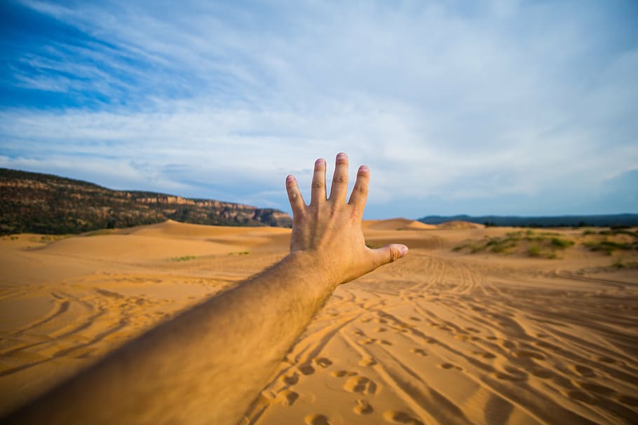 pessoa, mostrando, esquerda, mão, deserto, paisagem, foto, humano, azul, céu