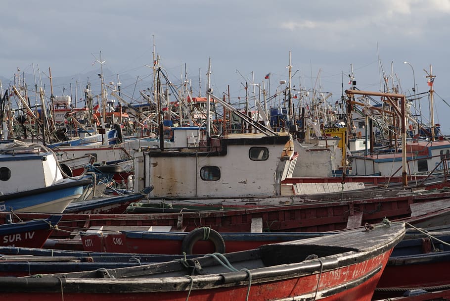 puerto natales, boats, fishermen, port, fisherman, tourism, fishing, barca, cove, southern chile