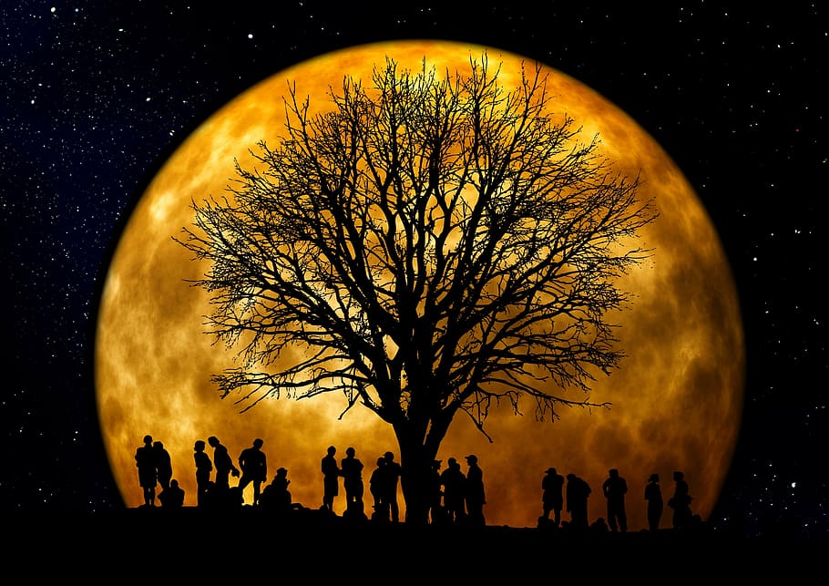 silhouette, people, bare, tree, moon background, kahl, moon, human, group, background