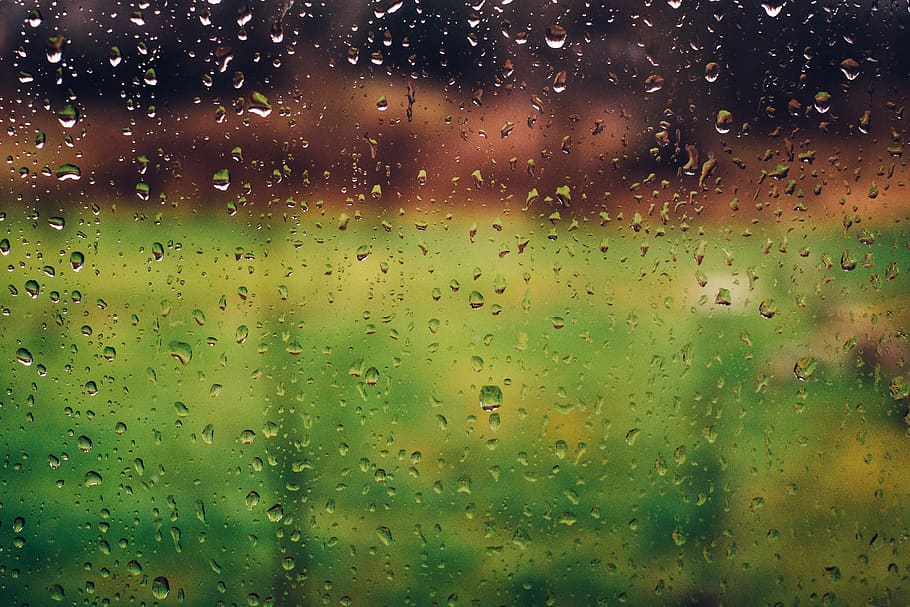 hujan, tetesan hujan, basah, jendela, buram, alam, air, kaca - bahan, penurunan, jelas