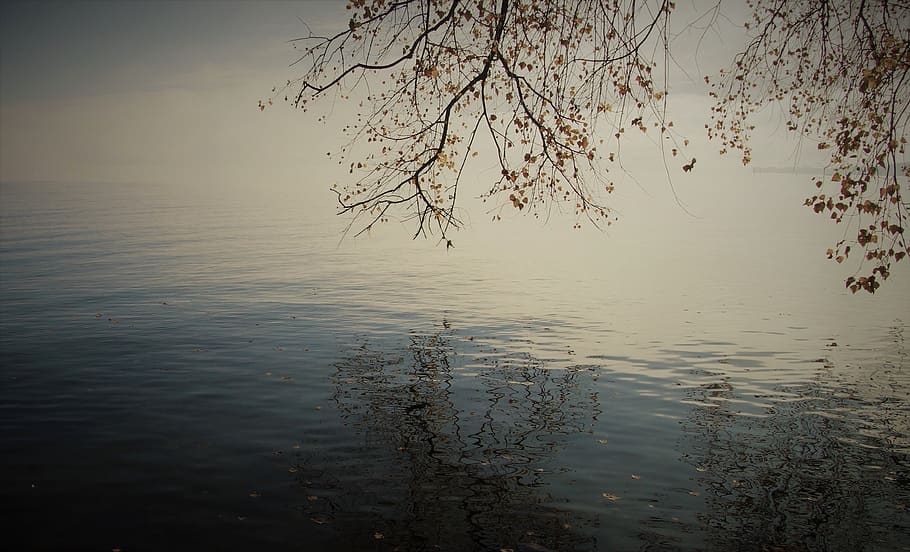outono, amanhecer, lago, praia, melancolia, superfície da água, o silêncio, paz de espírito, a névoa, manhã