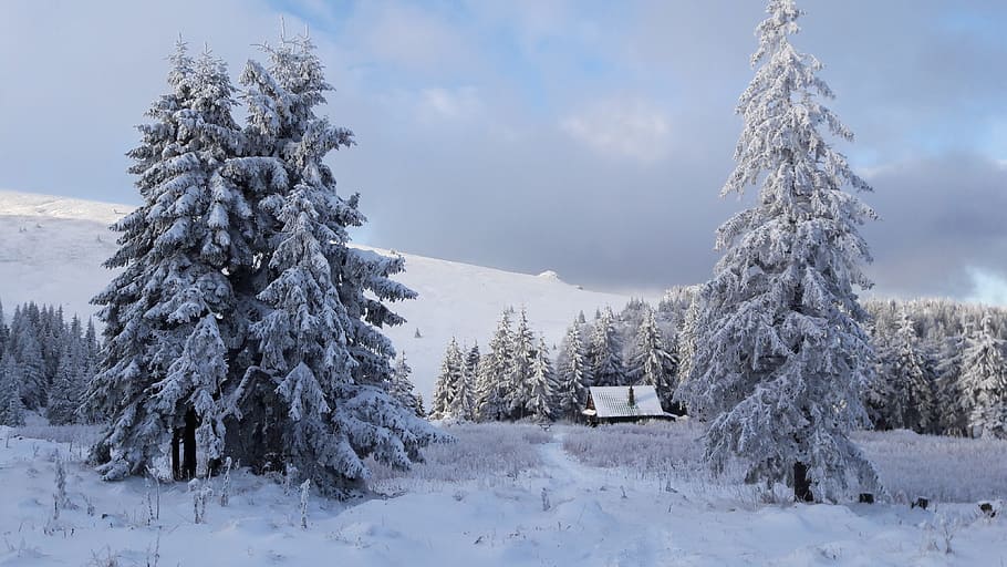 Chalet, la casita, casita, soledad, abandonado, en el bosque, invierno, las nubes, nieve, fatra