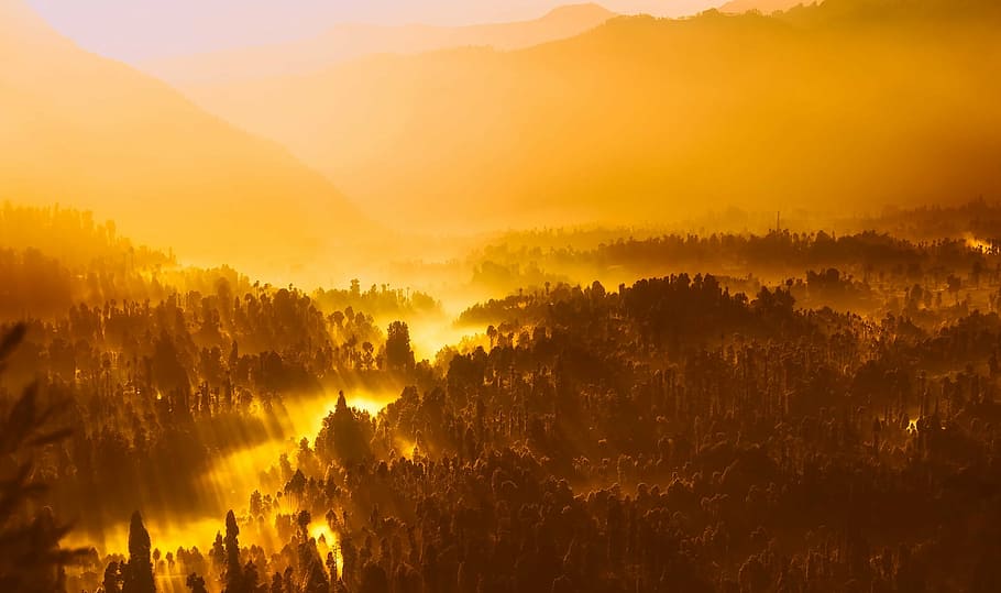 Arriba, vista, bosque, amarillo, puesta de sol, amanecer, mañana, luz del sol, Indonesia, montañas