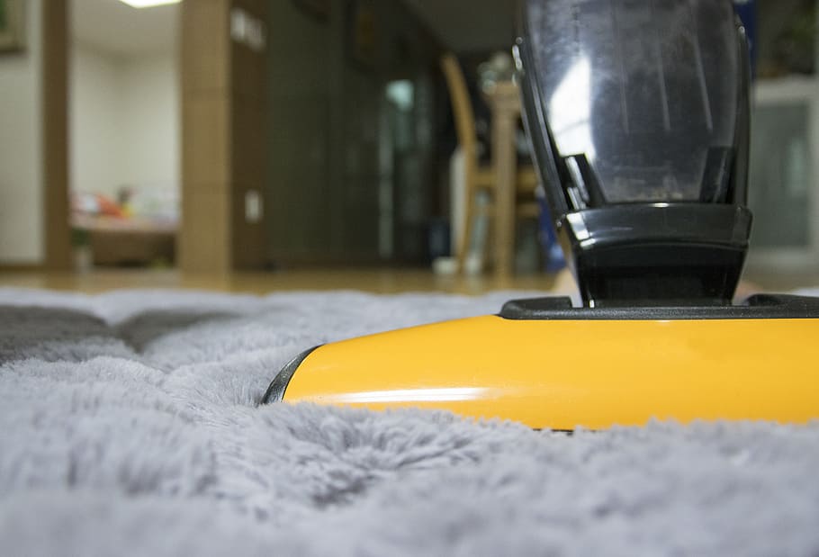 kuning, hitam, tegak, vakum, abu-abu, karpet bulu, di dalam, ruang, Vacuum, Cleaner