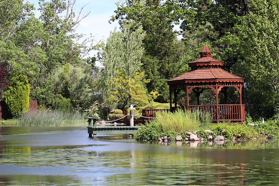 Duck Pond, Gazebo, pond, reflection, water, outdoors, tree, day, plant, lake