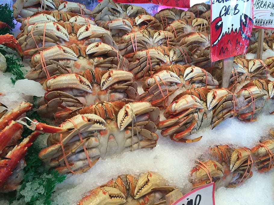 vermelho, branco, caranguejos, frutos do mar, comida, mercado, mar, peixe mercado, peixe, caranguejo