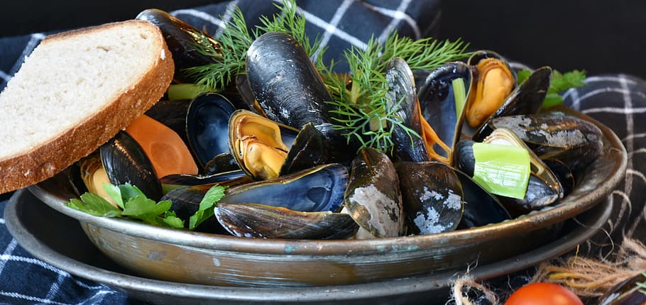 mussel soup, bread, seaweeds, mussels, mussel, common mussel, mytilidae, cooked, cook, background